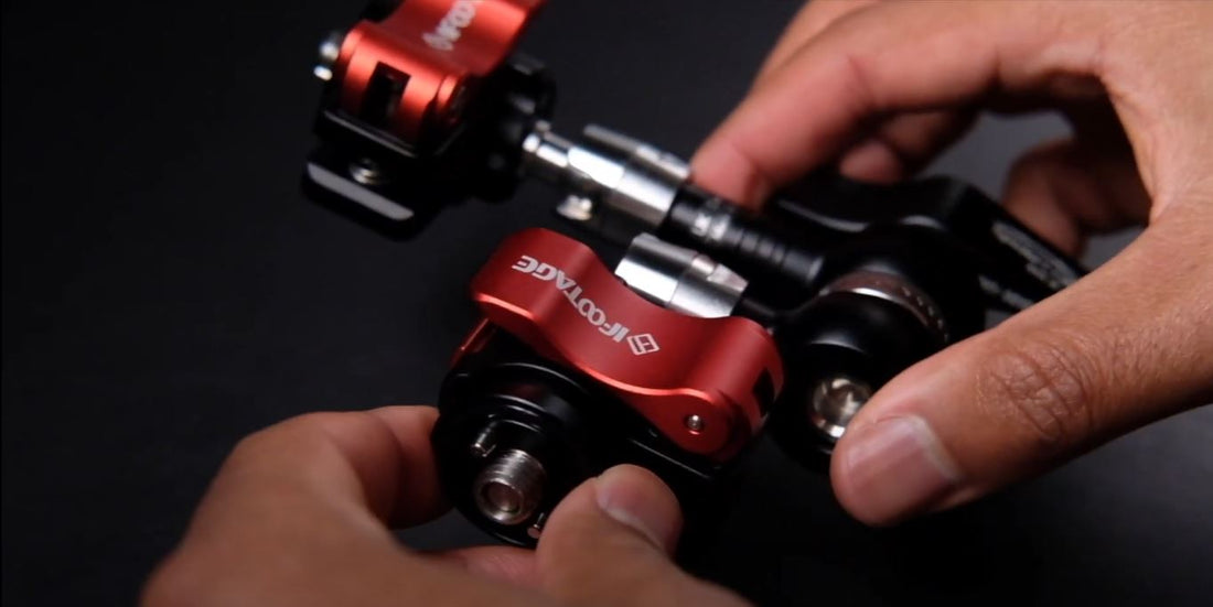 iFootage Spider Crabs Review - PhotographyPX