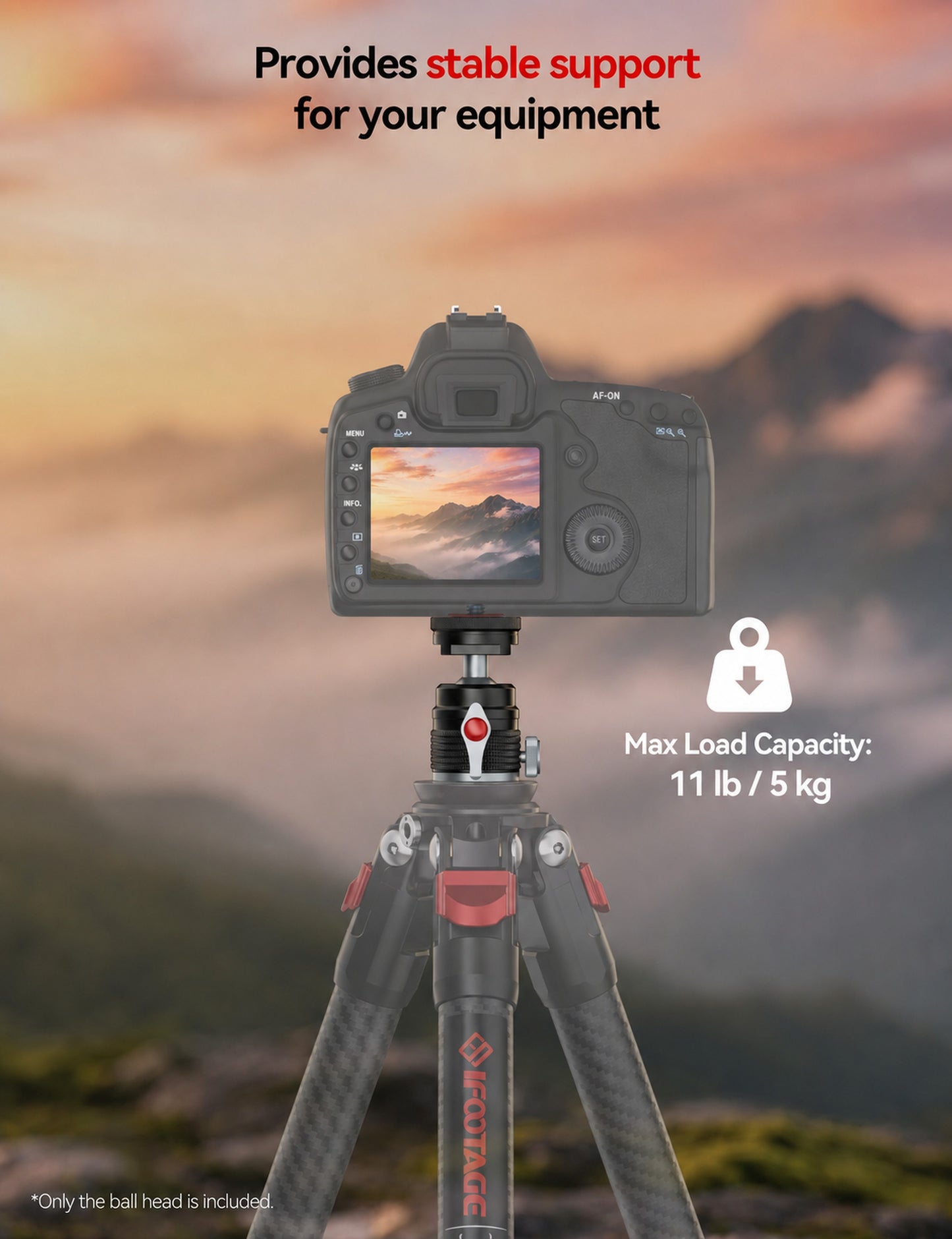 iFootage Ball Head T31D
